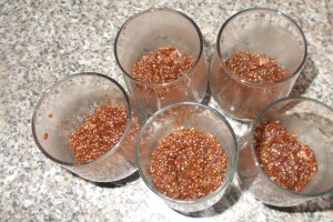Desert budinca de quinoa cu capsuni si cacao