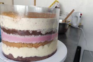 Desert tort aniversar Pat Patrouille