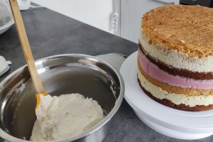 Desert tort aniversar Pat Patrouille