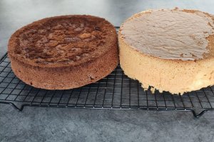 Desert tort aniversar Pat Patrouille