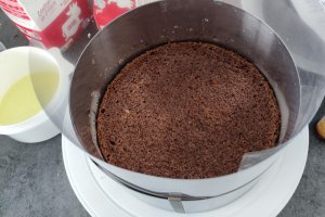 Desert tort aniversar Pat Patrouille