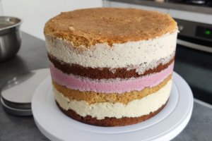 Desert tort aniversar Pat Patrouille