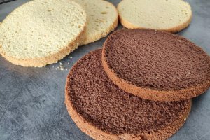 Desert tort aniversar Pat Patrouille