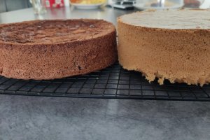 Desert tort aniversar Pat Patrouille