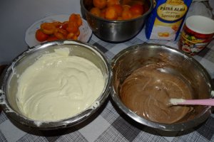 Desert prajitura marmorata cu caise
