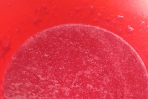 Desert prajitura cu foi si crema din budinca cu visine