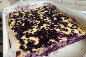 Desert placinta cu afine si iaurt