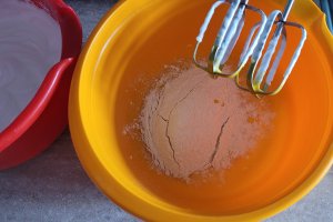 Desert prajitura cu crema de cocos si blaturi in doua culori