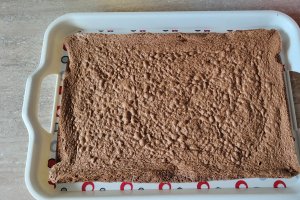 Desert prajitura cu crema de cocos si blaturi in doua culori