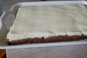 Desert prajitura cu crema de cocos si blaturi in doua culori