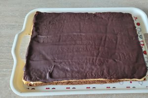 Desert prajitura cu crema de cocos si blaturi in doua culori