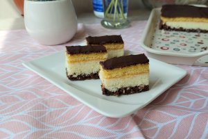 Desert prajitura cu crema de cocos si blaturi in doua culori