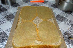 Desert tort Lucia 88 de ani