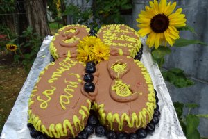 Desert tort Lucia 88 de ani