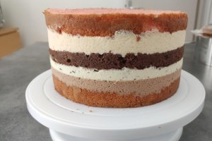 Desert tort cu ciocolata si caise