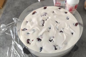 Desert tort aniversar Unicorn