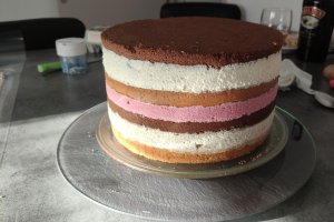 Desert tort aniversar Unicorn
