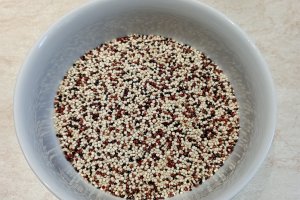 Piept de pui cu quinoa