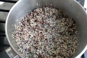 Piept de pui cu quinoa