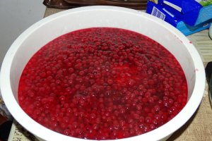 Reteta de tort cu crema de unt cu ciocolata si jeleu de coacaze rosii