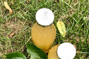 Reteta de sirop din flori de tei