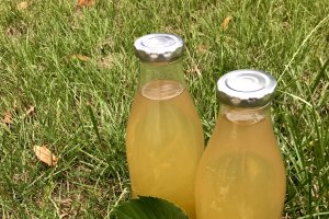 Reteta de sirop din flori de tei