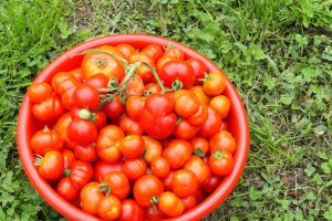 Reteta de sos de rosii pentru pizza sau friptura