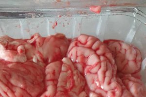 Reteta de creier de porc pane