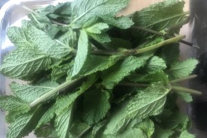 Reteta de prune aperitiv umplute cu menta, usturoi si gogosar, marinate la rece