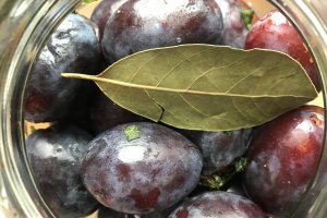 Reteta de prune aperitiv umplute cu menta, usturoi si gogosar, marinate la rece