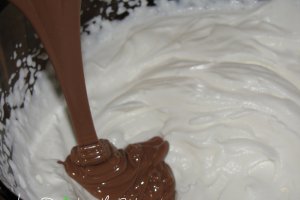 Tort cu ciocolata si gem de caise