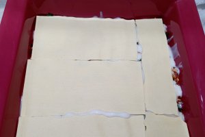 Reteta de lasagna cu carne de curcan, ciuperci si spanac