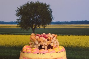 Reteta de tort cu coacaze rosii si albe