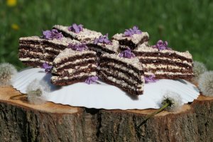 Prajitura cu foi de bezea, nuca si cacao - reteta unei prajituri delicioase de casa