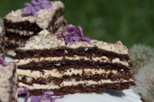 Prajitura cu foi de bezea, nuca si cacao - reteta unei prajituri delicioase de casa