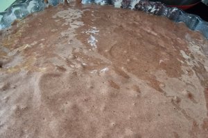 Musuroi de cartita, reteta celui mai indragit desert pentru copii