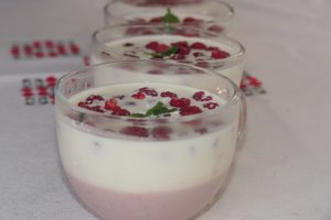 Panna Cotta cu zmeura  - Deliciu fin si cremos