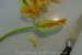 Flori de dovlecel umplute cu mozzarella si ansoa-1