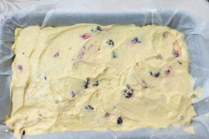 Prajitura cu branza, mure si afine - Desert fructat delicios