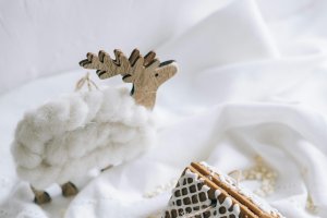 Cum sa faci o casuta din turta dulce - un proiect delicios si creativ
