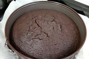 Tort cu visine, ciocolata si crema de piersici - Desertul festiv si delicios