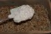 Prajitura Adelaide, cu crema de portocale - Desert rafinat si delicios-7