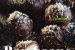 Bomboane Bounty - Deliciu rapid din 3 ingrediente-0