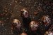 Bomboane Bounty - Deliciu rapid din 3 ingrediente-4