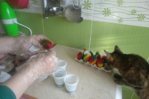 Ouă vopsite curcubeu - Reteta simpla si rapida