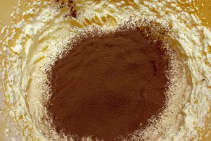Pasca poloneza in 2 culori - Grozav de gustoasa si aromata