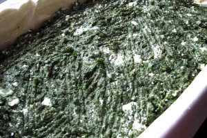 Spanakopita