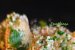 Aripioare de pui cu unt și parmezan - Delicioase și aromate-0