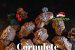 Cornulețe cu alune de pădure, cremă de fistic și ciocolată - Fragede și delicioase-3