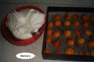 Negresa ciocolatoasa cu caise- 1 an de blog